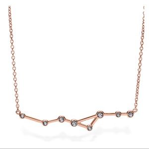 🆕 NWT Brand New Fossil Necklace!